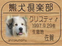 ���N���X�e�B�}�}����̂g�o�ւf�n�I